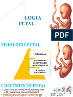 Fisiologia Fetal