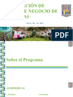 FORMULACION DE PLANES DE NEGOCIOS AGROIDEAS MAR07-2021