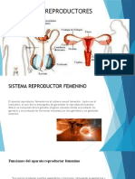 Sistemas Reproductores Femenino y Masculino