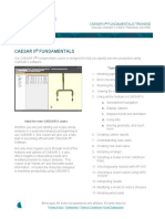 Hexagon PPM Caesar II Fundamentals Info Sheet 1
