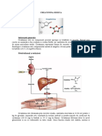 Creatinina Serica