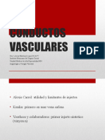 Conductos Vasculares2
