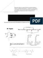 Estructura Tripsina