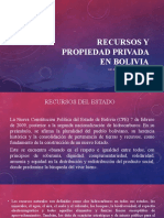 Tema 3 Recursos y Propiedad Privada en Bolivia