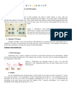 Genotype and Phenotype Examples