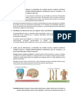 Semana 2 Tarea Anatomia