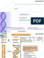 Clase Acidos Nucleicos1