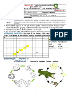 GUÍA #4 Ciclo de Vida de Los Animales