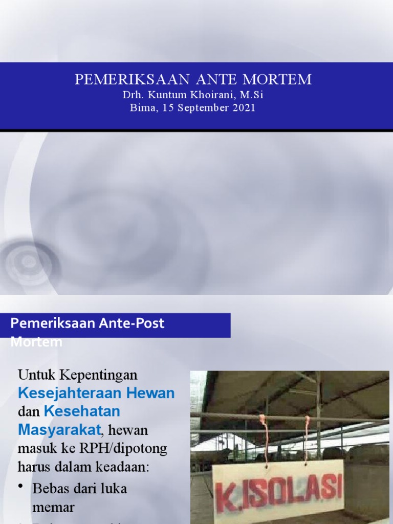 Pemeriksaan Ante Mortem Sapi | PDF
