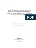 Estudio de Factibilidad para La Producción de Tilapia Oreochromis Spp. en La Represa José Cecilio Del Valle, Nacaome, Valle y Exportación de Filete Hacia Los Estados Unidos