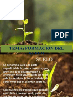 Formacion-Del-Suelo 2