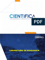 Ppt Bioquímica Laboratorio Sem-09 Cálculo Del Balance Energético 2021-2