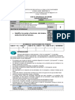 Funcion de Relacion - Sistema Endocrino