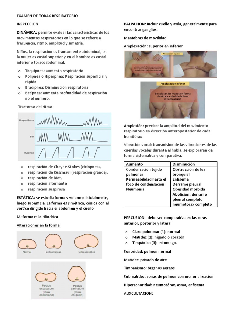 Examen de Torax Respiratorio | PDF | Sistema respiratorio | Medicina ...