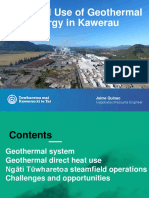 Industrial Use of Geothermal Energy in Kawerau