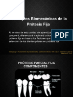 Conceptos biomecánicas PPF</b