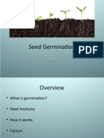 Seed Germination: D. Kettle