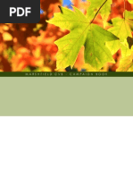 Download Campaign Book for the Marshfield Convention and Visitors Bureau by Michael Cheng SN53492340 doc pdf