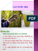 Lay Nuoc Mia