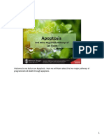 Apoptosis: and Other Regulated Pathways of Cell Death