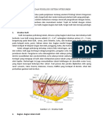 Review Anfis Sistem Integumen