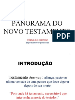 Panorama Do Novo Testamento