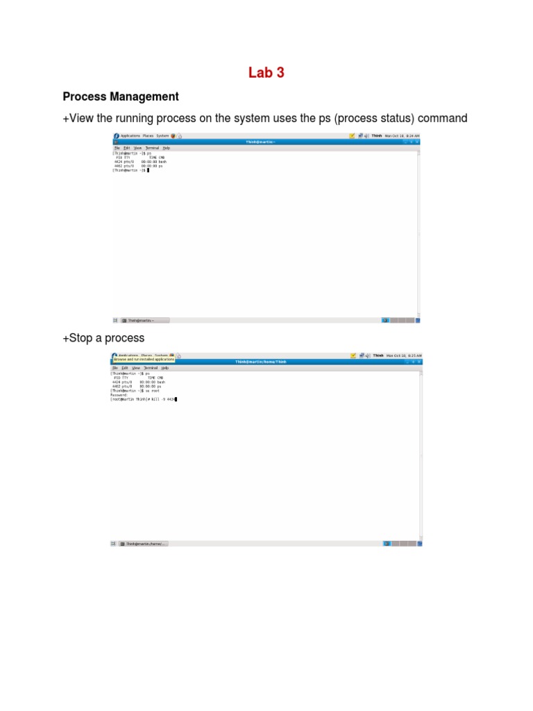 Linux Process Management Guide | PDF