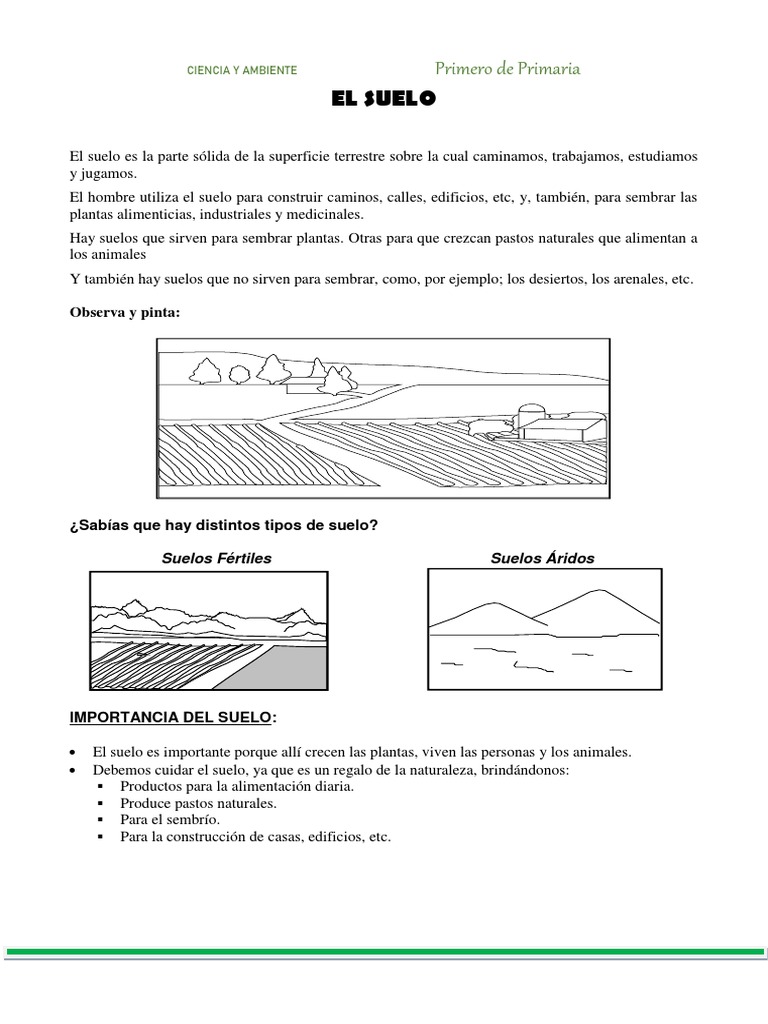 El Suelo para Primero de Primaria | PDF | Suelo | Plantas