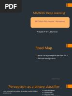 MAT6007 Session5 Perceptron Algorithm