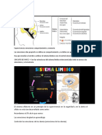 Sistema Limbico