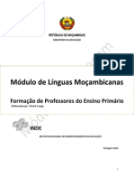 Línguas Moçambicanas