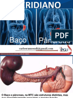 Baco Pancreas
