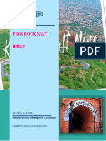 Pink Salt Brief PMDC