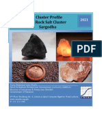 Rock Salt Cluster Profile: Sargodha
