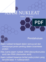 asam nukleat