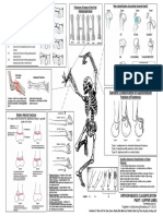 Ortho Essentials1