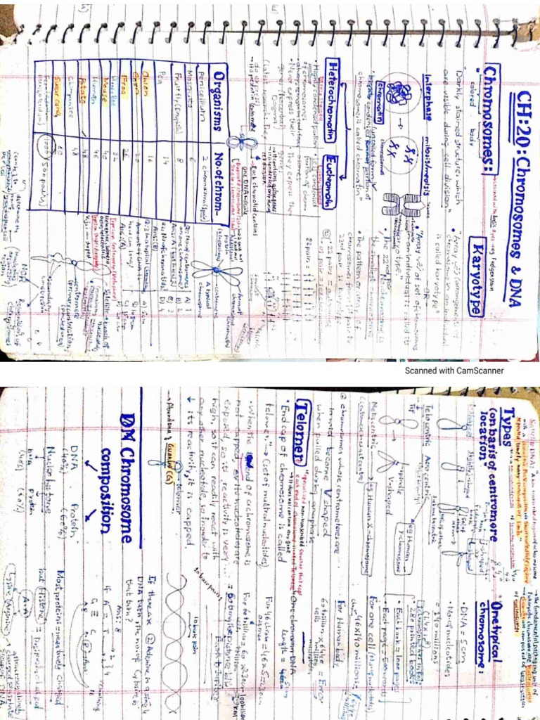Zeshan Biology Notes Part1 - Compressed | PDF