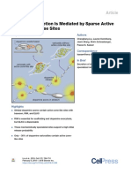 Dopamine Secretion Is Mediated by Sparse Active Zone-Like Release Sites