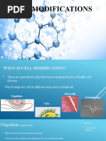 Cell Modifications