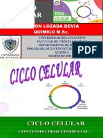 1 - Ciclo Celular