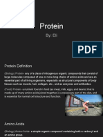 Protein: By: Eli