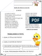 O PATO 2