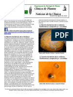 Plant Health Clinic Newsletter-Issue 26 Spanish