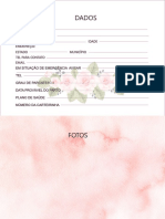 Diario Gravidez PDF