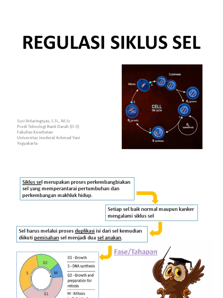 Regulasi Siklus Sel | PDF | Sains & Matematika