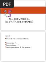 malformation-de-lappareil-urinaire-final.ppt EXTERNE (2)