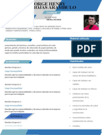 Plantilla Curriculum Vitae 6