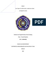 Essay Basic System Organ of Cardiovascular, Respiratory System, and Digestive System - 7 - Tiayati Panjaitan - 2008260058