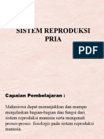 Pertemuan 11 - SISTEM REPRODUKSI PRIA + Gangguan Sistem Reproduksi