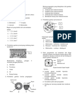 Soal PTS 2021